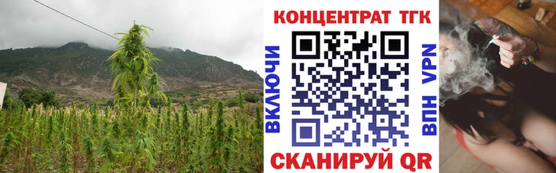 ТГК вейп с тгк  Купить где  Суздаль 