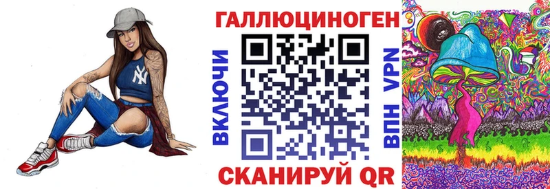 Купить где Суздаль Псилоцибиновые грибы Magic Shrooms
